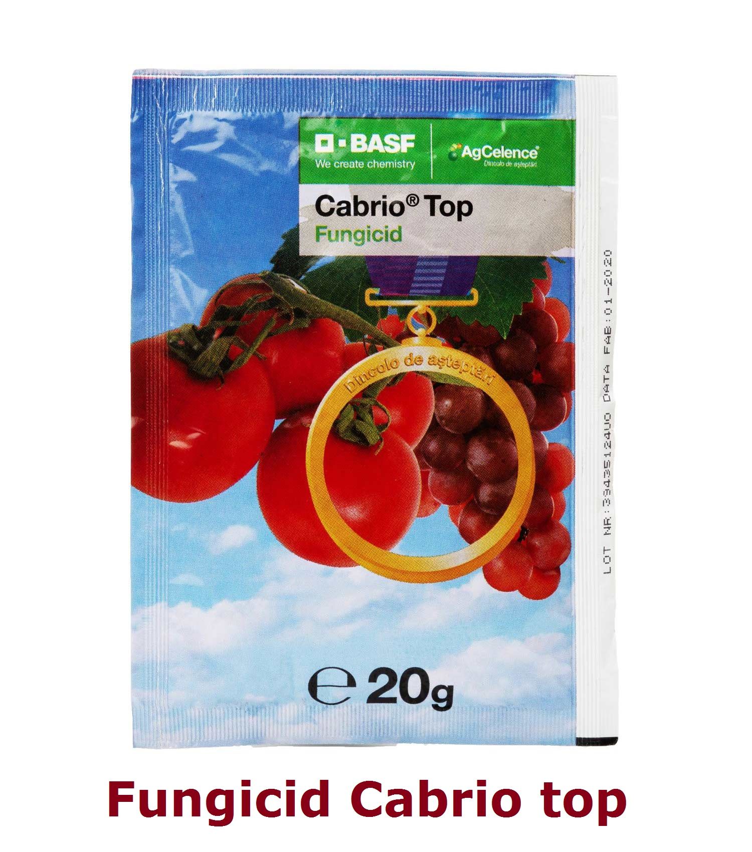 Mana la tomate - fungicid Cabrio top 