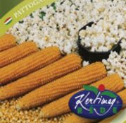 Seminte porumb popcorn Poppy Plusy F1 50 seminte