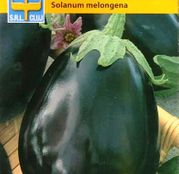 Seminte Vinete Black Beauty 2g