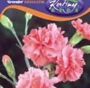 Seminte flori Garoafe Grenadin (Dianthus caryophyllus) roz 0,25g