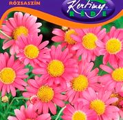 Seminte flori Margarete (Chrysanthemum coccineum) roz 0,25g