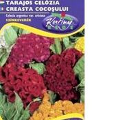 Seminte flori Creasta Cocosului (Celosia argentea var.cristata) amestec de culori 