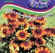 Seminte flori Rudbeckia (Rudbeckia hirta) Macko 