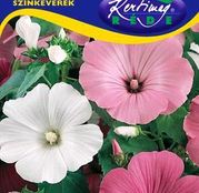 Seminte flori Nalba (Lavatera trimestris) amestec de culori 2g