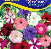 Seminte flori Petunii cu flori mici (Petunia hybrida multiflora) amestec de culori 0.25g