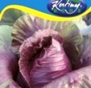 Seminte varza rosie Kalibos 2g
