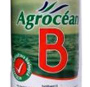 Ingrasamant Agrocean B