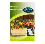  Benzi cu seminte flori "Amestec de flori anuale" 80 cm