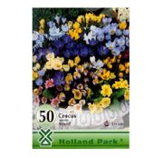 Bulbi de flori Brandusa Crocus Species Mixed 50buc,100buc