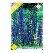 Bulbi de flori Aconitum Blue 1buc