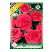 Bulbi de flori Begonia Large flower Pink 3buc