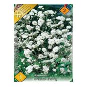 Bulbi de flori Floarea Miresei- Gypsophila Bristol Fairy 1buc