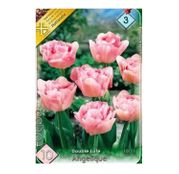 Bulbi de flori Lalele Angelique 10buc