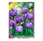 Bulbi de flori Lalele Blue Diamond 10buc