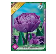 Bulbi de flori Lalele Blue Diamond 6 buc