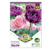 Bulbi de flori Lalele Duo Double Purple & Pink 6 buc