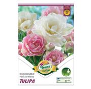 Bulbi de flori Lalele Duo Double Pink & White 6 buc