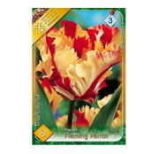 Bulbi de flori Lalea Flaming Parrot 8buc