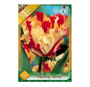 Bulbi de flori Lalele Flaming Parrot 8buc