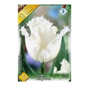 Bulbi de flori Lalele Fringed Daytona/Honeymoon 10buc