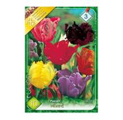 Bulbi de flori Lalele Parrot Mixed 10buc