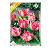 Bulbi de flori Lalea Peach Blossom 10buc