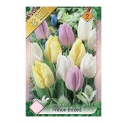 Bulbi de flori Lalele Trio Prince Mixed 6 buc