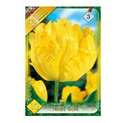 Bulbi de flori Lalele Texas Gold 10buc