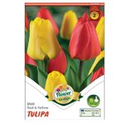 Bulbi de flori Lalele Duo Red & Yellow 10 buc