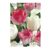 Bulbi de flori Lalele Duo Pink & White 10 buc