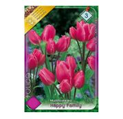 Bulbi de flori Lalele Happy Family 8  buc