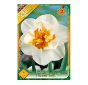 Bulbi de flori Narcisa Flower Drift 5buc