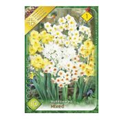 Bulbi de flori Narcisa Multiflower mixed 8buc