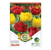 Bulbi de flori Lalele Duo Double Red & Yellow 6buc