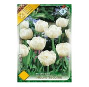 Bulbi de flori Lalele Mount Tacoma 7 buc