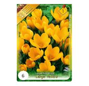 Bulbi de flori Brandusa Crocus Vernus Large Flowering Yellow 6 buc