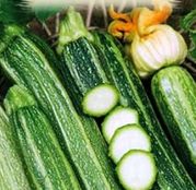 Seminte dovlecel zucchini Striato d'Italia 3g