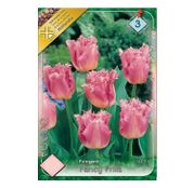 Bulbi de flori Lalele Fringed Fancy Frills 8 buc