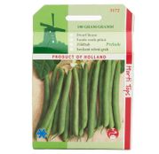 Seminte fasole verde fideluta pitica Prelude 100g