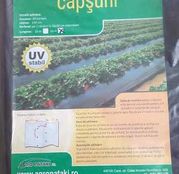 Folie de Mulcire pentru capsuni