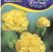 Seminte flori Garoafe Chabaud (Dianthus caryophyllus) galbene 0.25g