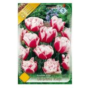 Bulbi de flori Lalele Gerbrandt Kieft 8 buc