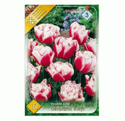 Bulbi de flori Lalele Gerbrandt Kieft 10buc
