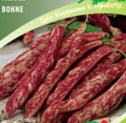 Seminte fasole Gipsy 50g