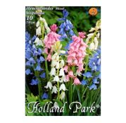 Bulbi de flori Hyacinthoides hispanica amestec culori 10buc