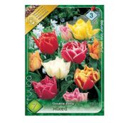 Bulbi de flori Lalele Double Early Mixed 7 buc