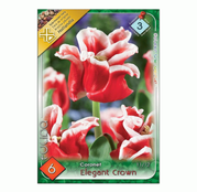 Bulbi de flori Lalele Elegant Crown 6buc