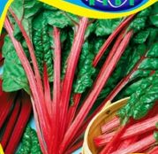 Seminte Mangold Rhubarb (rosu) 5g