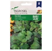 Seminte Mustar Baby Leaf Red Gigant 3g