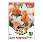Bulbi de flori Lalele&Narcise Duo Orange Dreams 6 buc